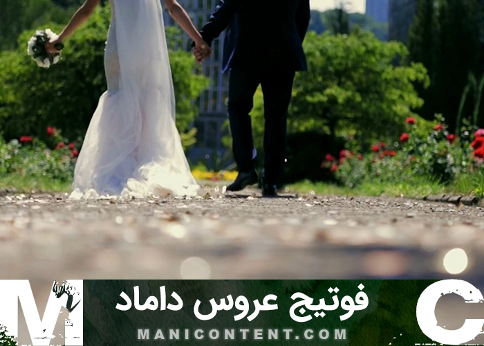 فوتیج قدم زدن عروس داماد Bride and groom walking