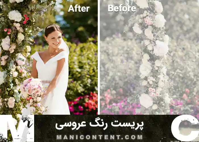 پک پریست رنگ عروسی داوینچی پریمیر پرو فتوشاپ افترافکت اسپید گرید فاینال کات پرو Luts