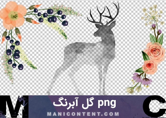 گل آبرنگ watercolor flower png